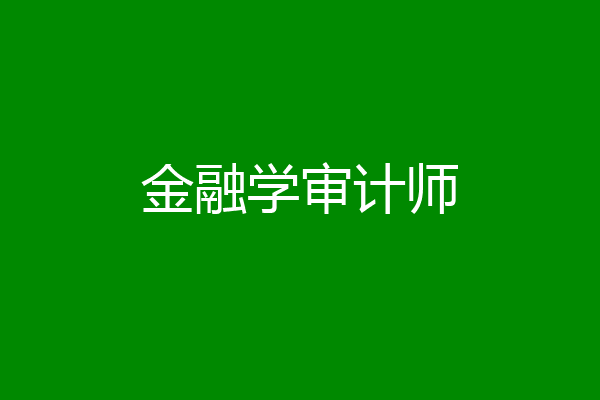 金融学审计师