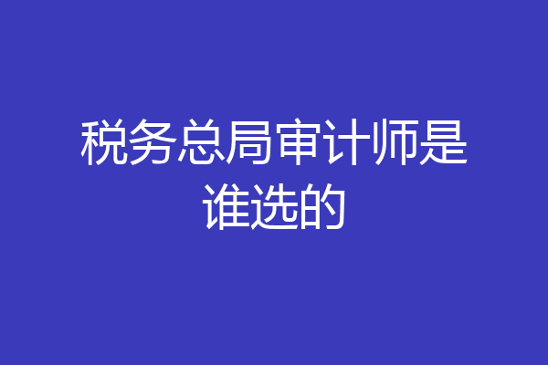 税务总局审计师是谁选的
