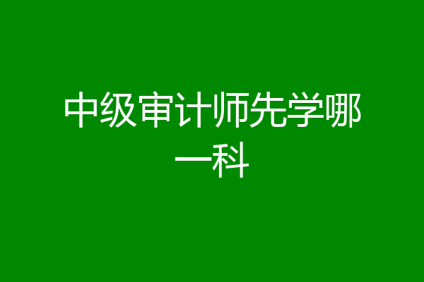 中级审计师先学哪一科