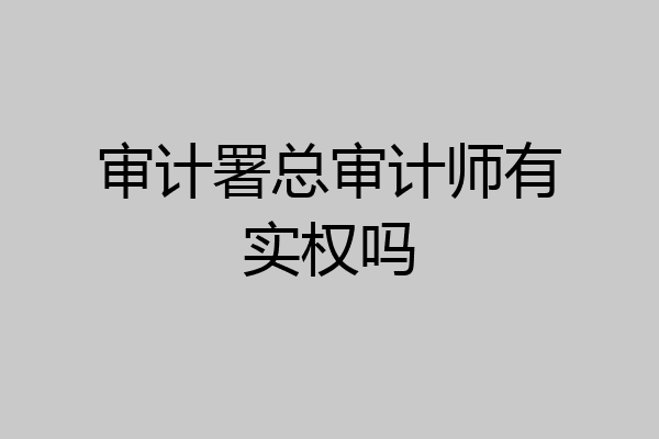 审计署总审计师有实权吗
