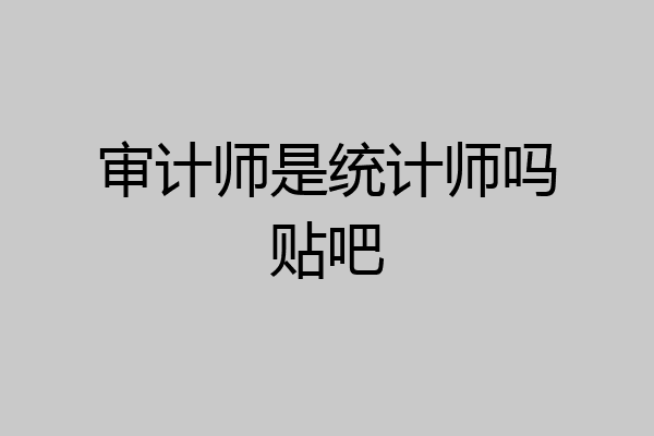 审计师是统计师吗贴吧