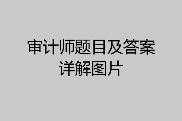 审计师题目及答案详解图片