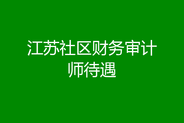 江苏社区财务审计师待遇