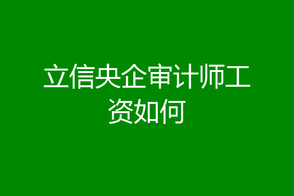 立信央企审计师工资如何