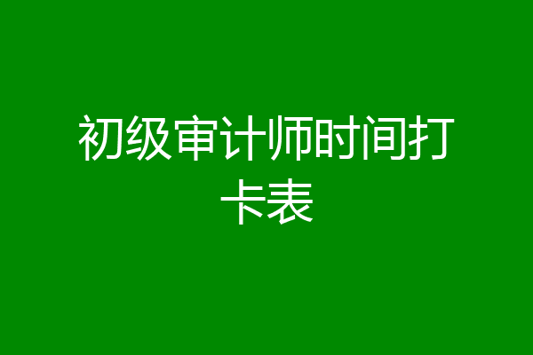 初级审计师时间打卡表