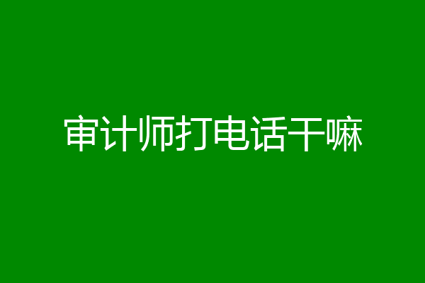 审计师打电话干嘛