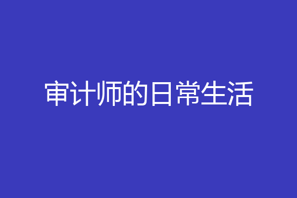 审计师的日常生活