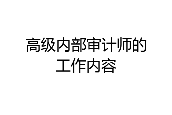 高级内部审计师的工作内容