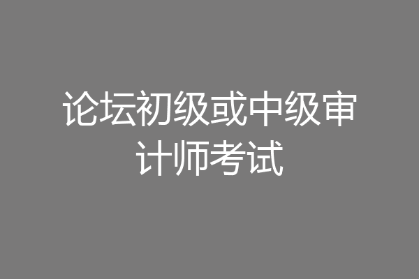 论坛初级或中级审计师考试