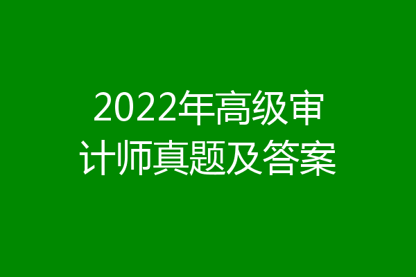 2022年高级审计师真题及答案