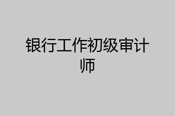 银行工作初级审计师