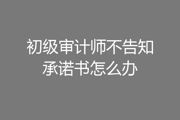 初级审计师不告知承诺书怎么办