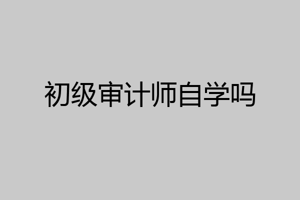 初级审计师自学吗