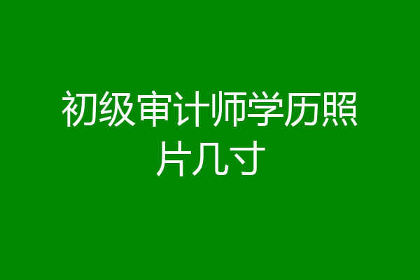 初级审计师学历照片几寸