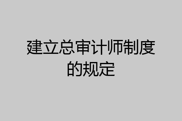 建立总审计师制度的规定
