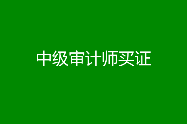 中级审计师买证