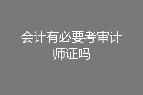会计有必要考审计师证吗