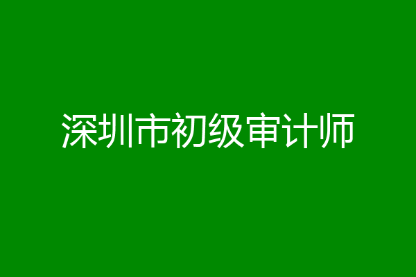 深圳市初级审计师