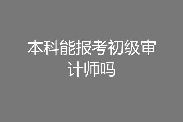 本科能报考初级审计师吗