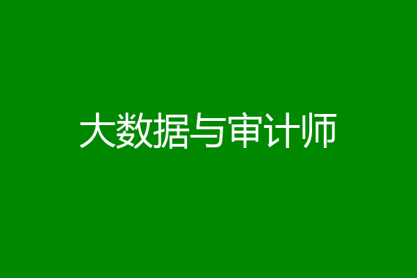 大数据与审计师