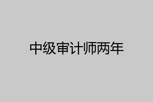 中级审计师两年