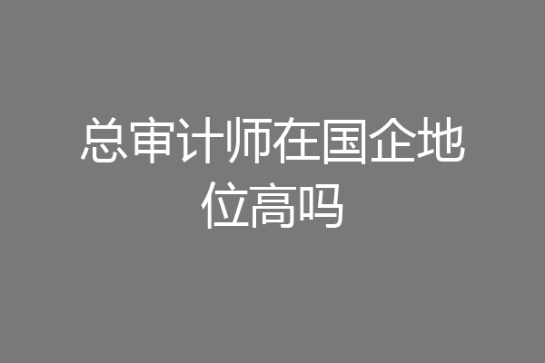 总审计师在国企地位高吗