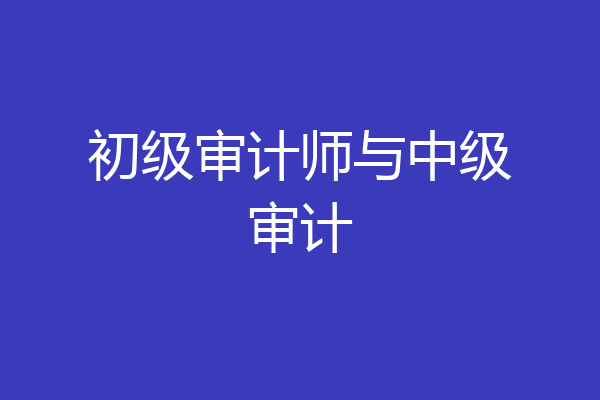 初级审计师与中级审计