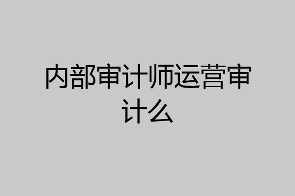 内部审计师运营审计么