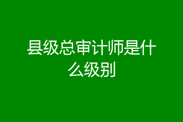 县级总审计师是什么级别