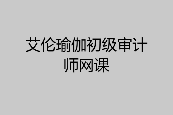 艾伦瑜伽初级审计师网课