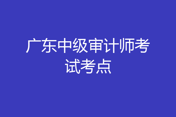 广东中级审计师考试考点