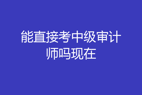 能直接考中级审计师吗现在