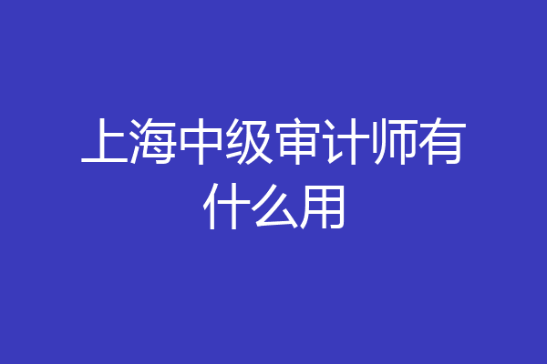 上海中级审计师有什么用