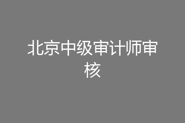 北京中级审计师审核