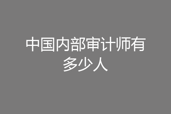 中国内部审计师有多少人