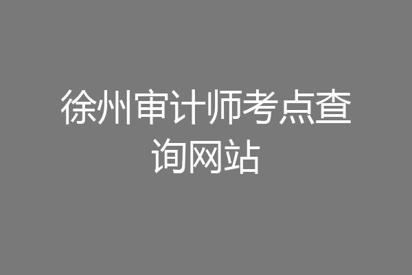 徐州审计师考点查询网站