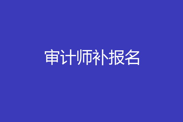 审计师补报名