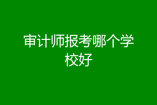 审计师报考哪个学校好