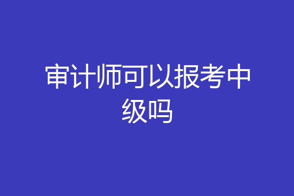 审计师可以报考中级吗