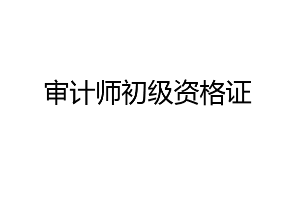 审计师初级资格证