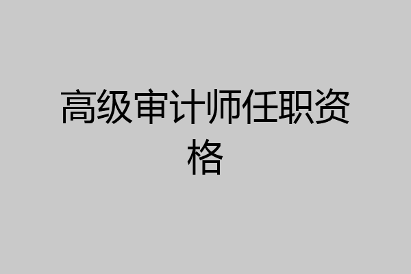 高级审计师任职资格