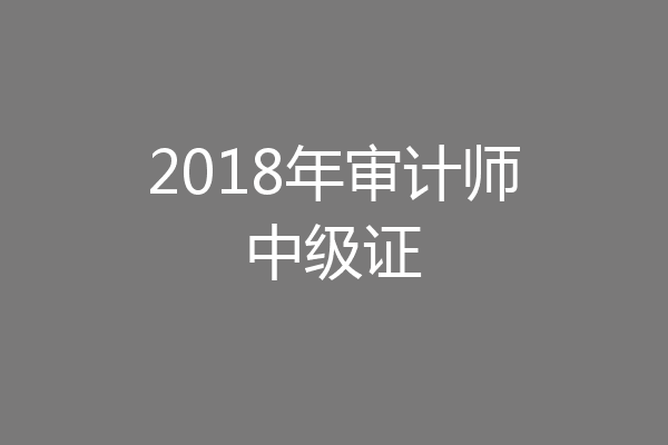 2018年审计师中级证