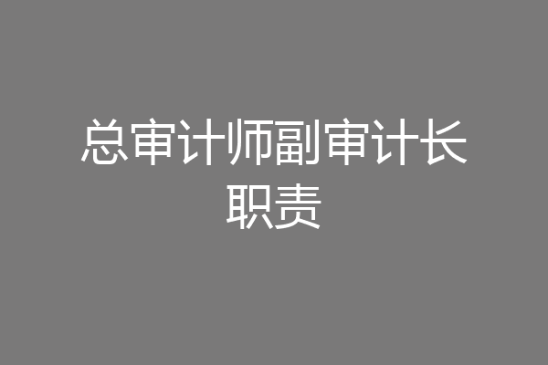 总审计师副审计长职责