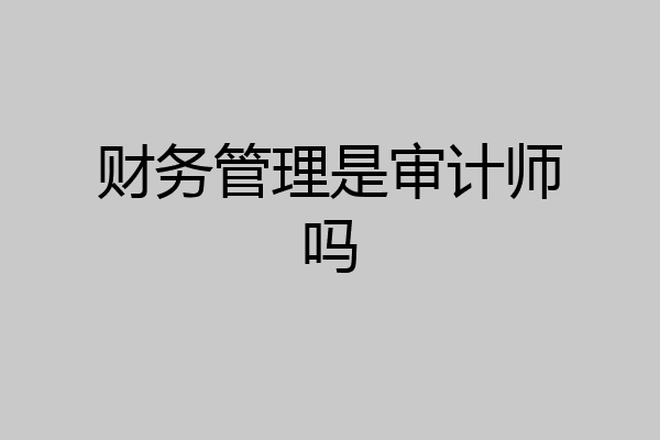 财务管理是审计师吗