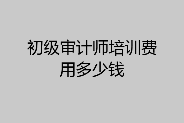 初级审计师培训费用多少钱