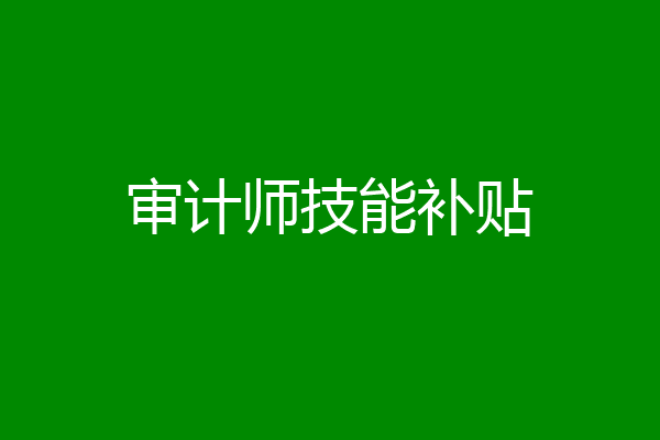 审计师技能补贴
