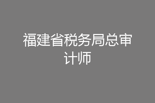 福建省税务局总审计师