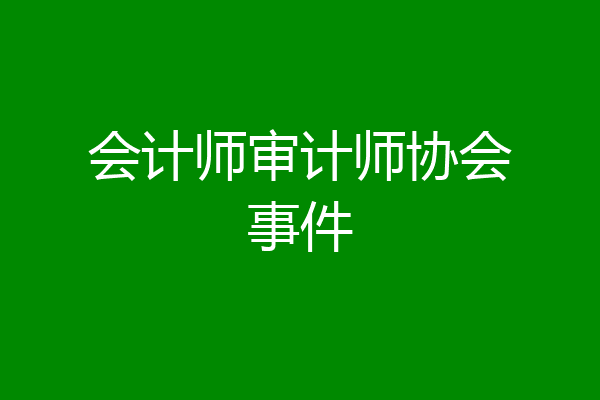 会计师审计师协会事件