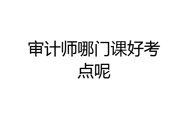 审计师哪门课好考点呢