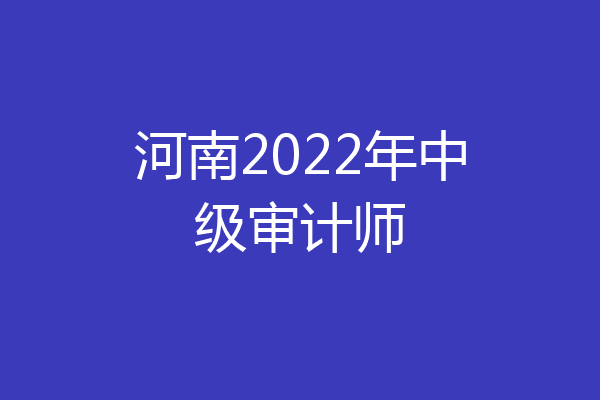 河南2022年中级审计师